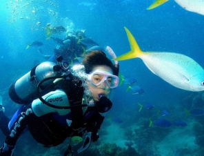 Scuba diving option on Green Island Shore Excursion from Cairns